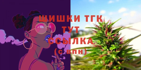 экстази Каменка