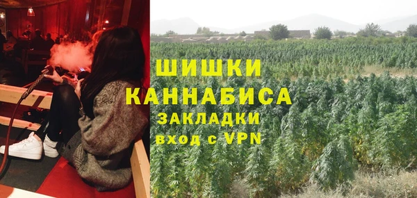 альфа пвп Каменногорск