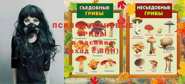 гидра Каменск-Шахтинский