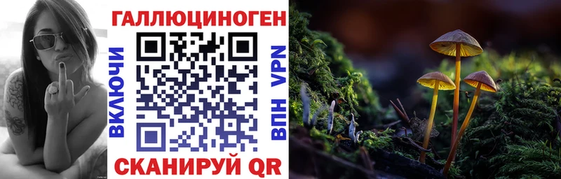 mega рабочий сайт  купить   Камень-на-Оби  Галлюциногенные грибы Cubensis 