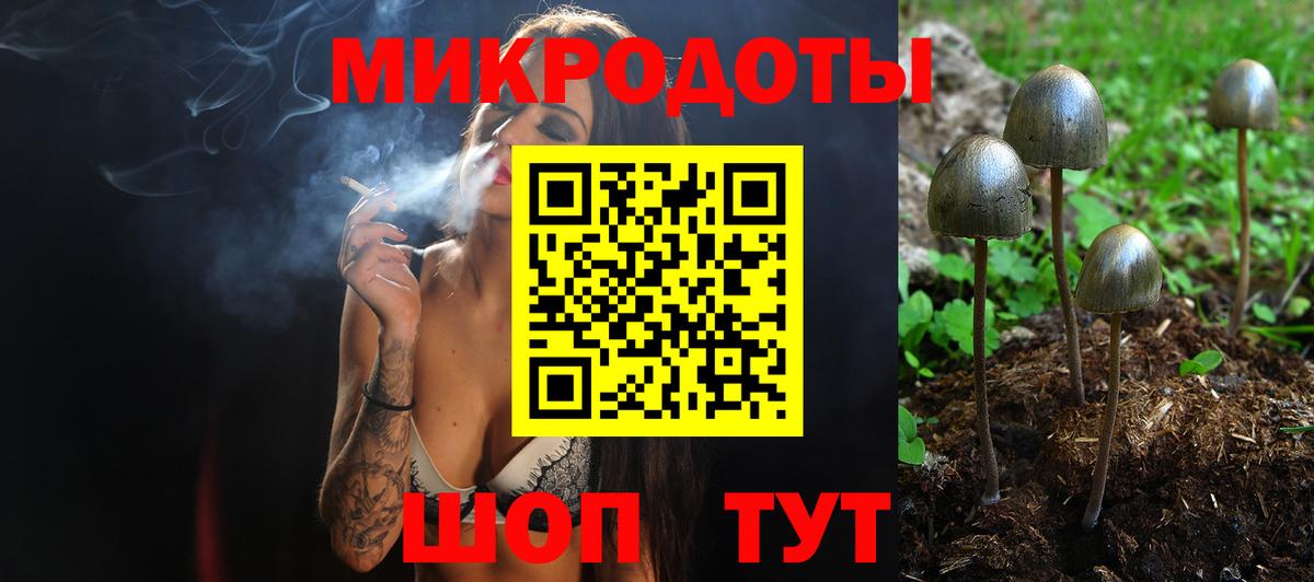 Камень-на-Оби  Псилоцибиновые грибы мухоморы  Галлюциногенные грибы мухоморы  Вход с VPN 